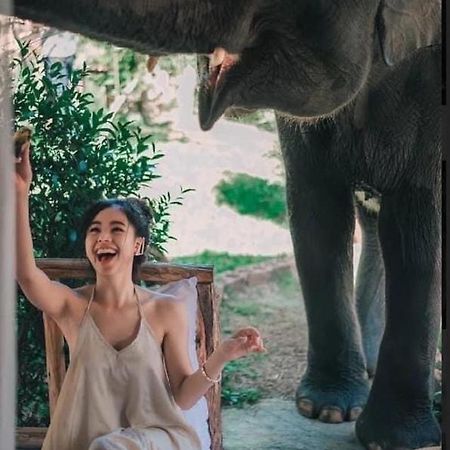 3 Pok Maewang Jinxiang Daire Mae Wang Dış mekan fotoğraf