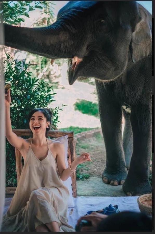 3 Pok Maewang Jinxiang Daire Mae Wang Dış mekan fotoğraf